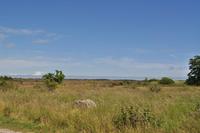 Alvaret - Hochebene auf Öland