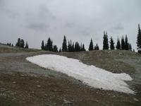 Fahrt mit der Peak 2 Peak Gondola in Whistler