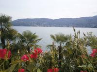 Der Lago Maggiore im Juni