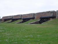 Fort George