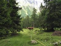 047 Wanderung zum Lago delle Malghette
