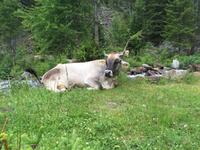 090 Wanderung zu den Saent-Wasserfällen