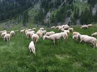 132 Wanderung zu den Saent-Wasserfällen