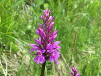 255 Wanderung im Val di Peio - Covelsee