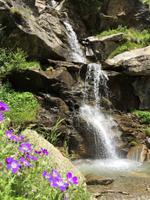 266 Wanderung im Val di Peio - Covelsee