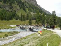 Pferdekutschfahrt ins Val Roseg