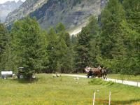 Pferdekutschfahrt ins Val Roseg