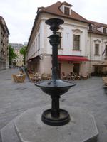 Vogel-, Hunde- und Pferdetränke in einem