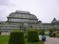 tropisches Gewächshaus vom Schloss Schönbrunn