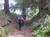 ... und es geht immer bergauf