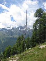 5 Almen Wanderung - Ausblick
