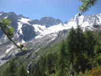 Die Nordwand der Cima Presanella Gruppe