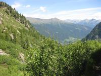 Blick zurück