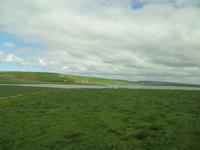 Orkney-Inseln – auf dem Weg nach Kirkwall