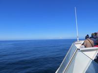 Insel Jan Mayen kommt in Sicht