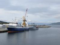 Im Hafen von Tromsøs