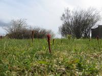 Heimatmuseum in Skogar