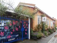 Trondheim Bakklandet