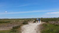 Steppe auf Öland