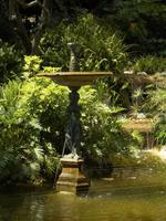 im Botanischen Garten von Monaco