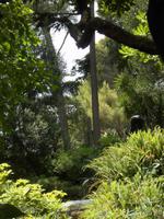 im Botanischen Garten von Monaco