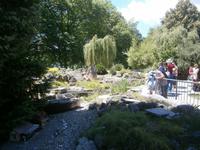 Blick auf einen Teil der Gartenbahnanlage