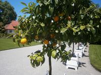 Aus anderer Perspektive