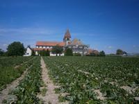 Niederzell, Kloster 