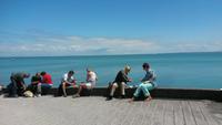 Austeressen in Cancale