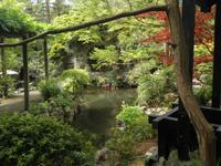 Japanischer Garten Nationalgestüt Kildare