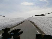 Schneeweg Norwegen