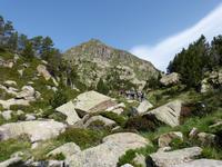 124. Grau Roig- els pessons