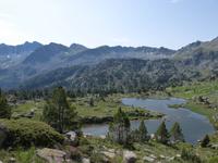 129. Grau Roig- els pessons