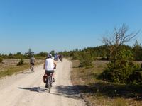Radtour auf der Insel Saaremaa