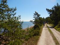 Radtour auf der Insel Saaremaa