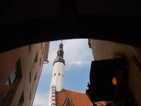 Stadtrundgang Tallin