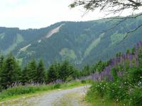Panoramawanderung auf der Schmittenhöhe