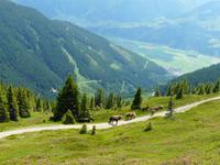 Wanderung zum Maurerkogel
