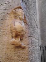 kleine Eule an der Kirche