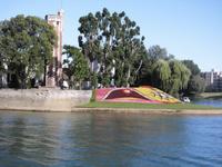 Napolionhut in Blumenform