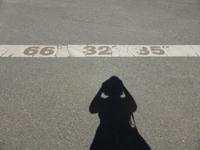 Polarkreis Koordinaten