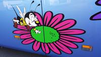 Bienen auf unserem Bus