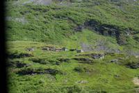 Geschützte Bergbauernhöfe, Geiranger, Norwegen