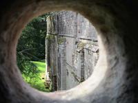 Ausblick in Dryburgh Abbey