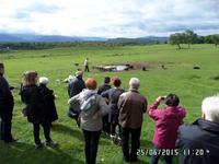 Kincraig (2)