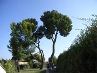 Cezanne-Plattform, Aix (Laufes)