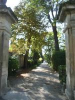 Weg aus dem Spital St. Remy