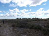 Karst- und Heidelandschaft 
