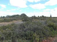 Karst- und Heidelandschaft 