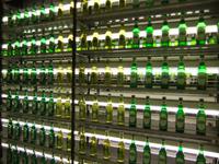 Hier wird die Haltbarkeit des Bieres kontrolliert